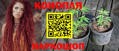 молекула духа Беслан