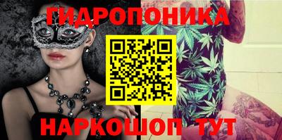 стаф Бийск